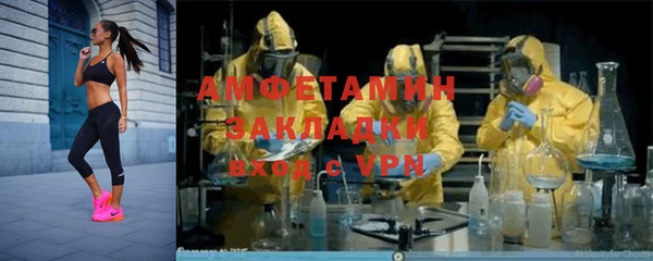 стаф Тутаев