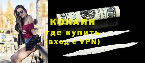 мдпв Туринск
